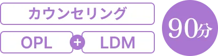 カウンセリング＋OPL＋LDM（90分）