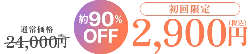 通常価格24,000円(税込)が初回限定、【約90%OFF】の2,900円(税込)！